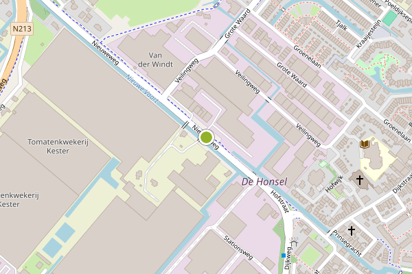 Ambulance-melding op Nieuweweg, Honselersdijk op 4 juni, kaart-overzicht