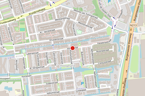 Brandweer-melding op Florastraat, Naaldwijk op 6 juni, kaart-overzicht