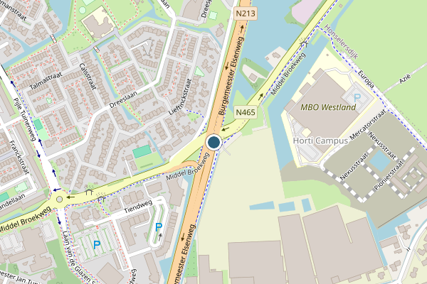Politie-melding op Burgemeester Elsenweg, Naaldwijk op 12 juni, kaart-overzicht