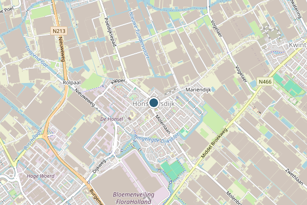 Politie-melding op Molenlaan Condorhorst, Honselersdijk op 30 april, kaart-overzicht